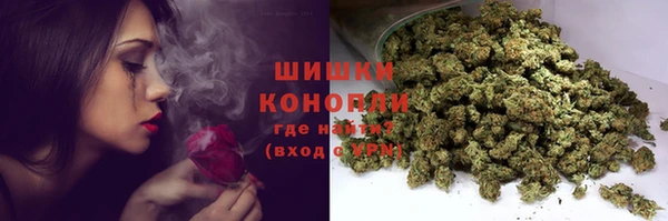 дурь Няндома