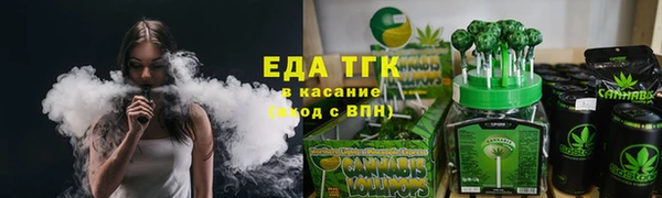 индика Нязепетровск
