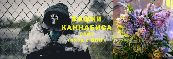 дурь Няндома