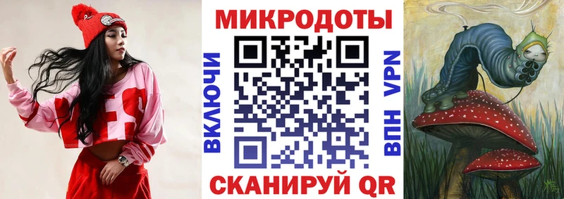 Галлюциногенные грибы Psilocybe  Суоярви 